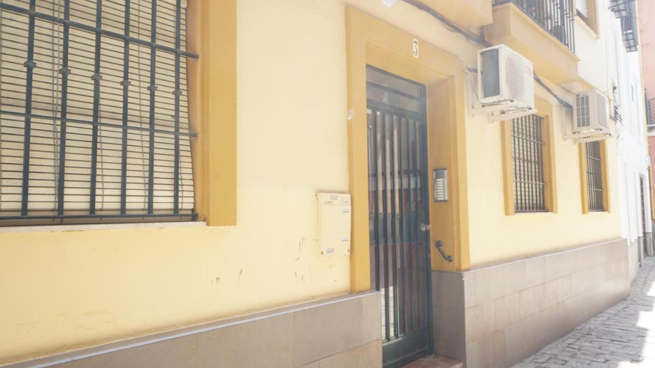 Rentalsevilla Molviedro المظهر الخارجي الصورة